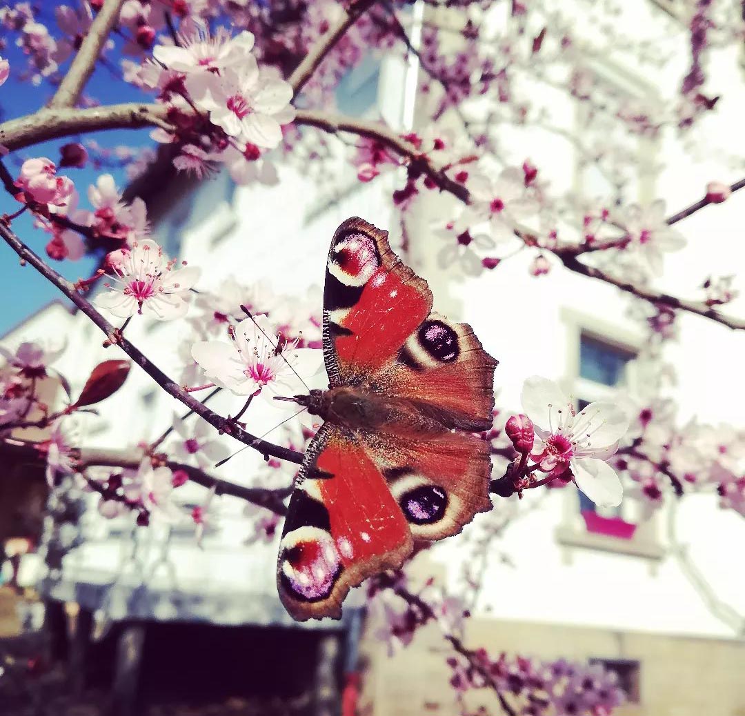 Remplir ses journées de beauté