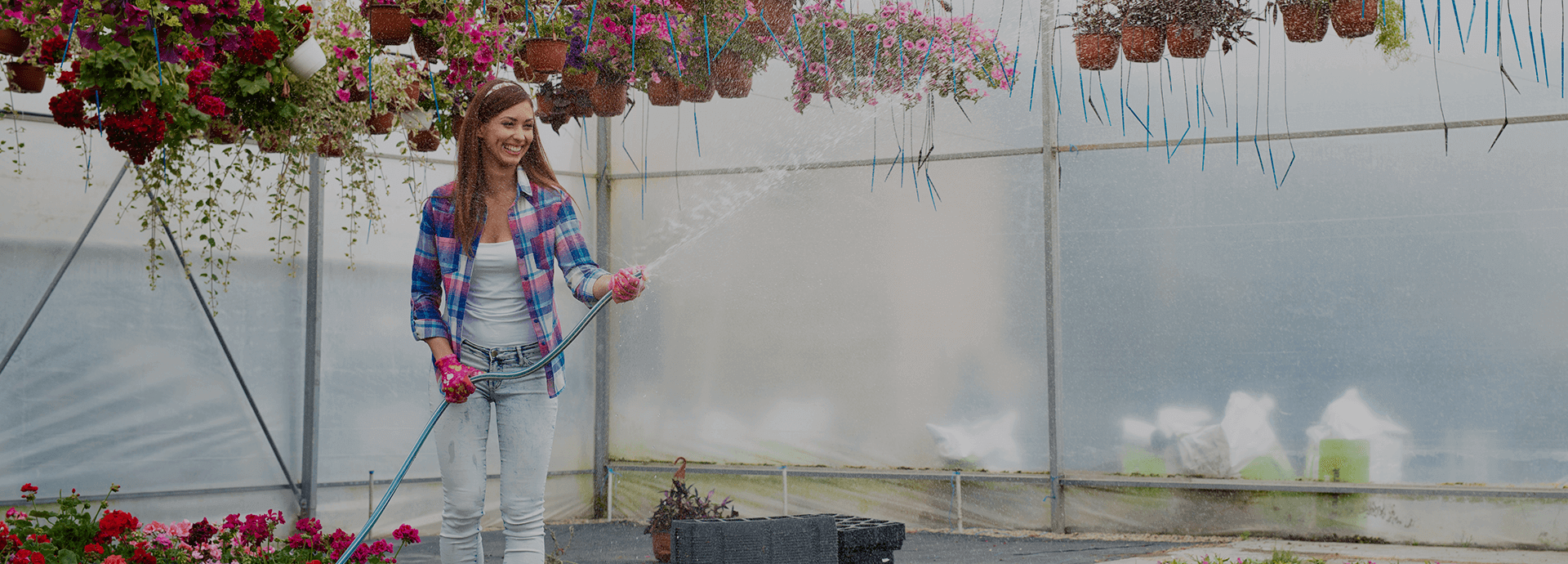 Bienvenue et présentation